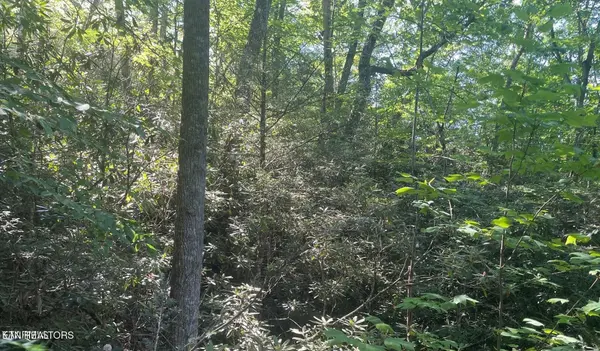 70 Hazelnut Lane, Sevierville, TN 37876