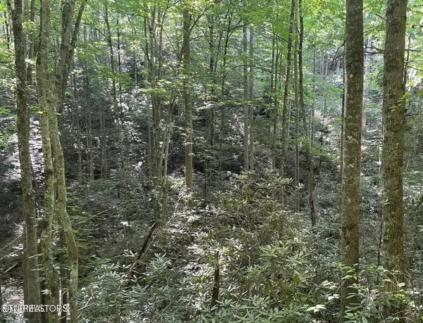 70 Hazelnut Lane, Sevierville, TN 37876