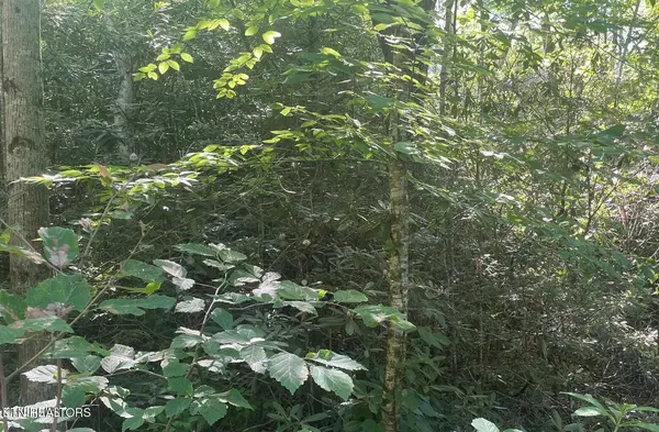 70 Hazelnut Lane, Sevierville, TN 37876