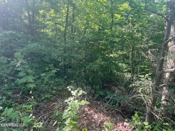 69 Sycamore St, Sevierville, TN 37876