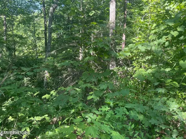 69 Sycamore St, Sevierville, TN 37876
