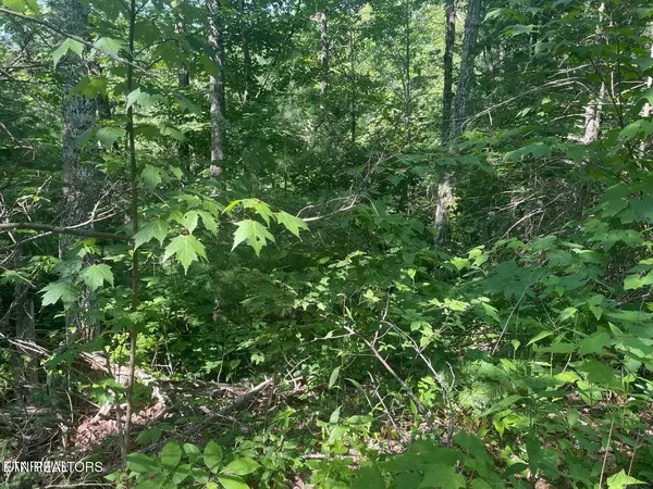 69 Sycamore St, Sevierville, TN 37876