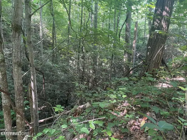 1 Sycamore St, Sevierville, TN 37876