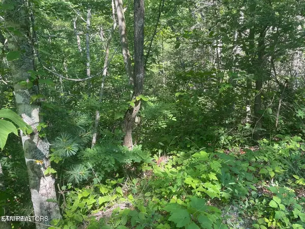 68 Sycamore St, Sevierville, TN 37876