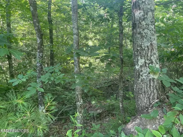 89 Sycamore St, Sevierville, TN 37876