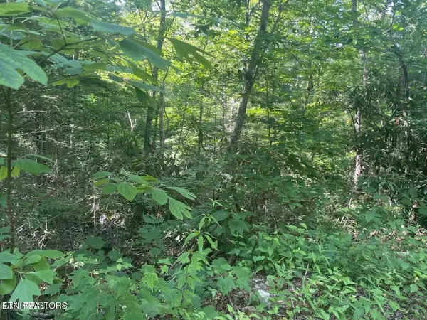 89 Sycamore St, Sevierville, TN 37876