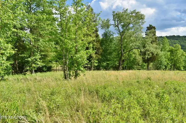 56 Blue Heron Bluff Rd, Harriman, TN 37748