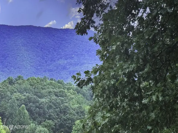 0 Boxwood Lane, Sevierville, TN 37862