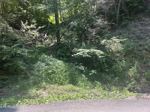 331 Ridgefield Drive, Sevierville, TN 37876