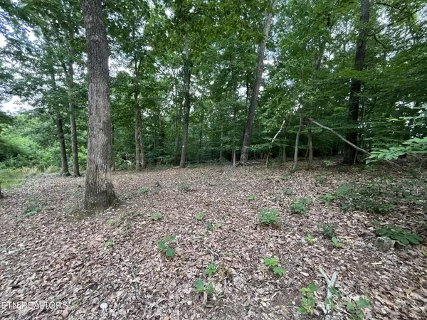 3278 Hillside Rd, White Pine, TN 37890