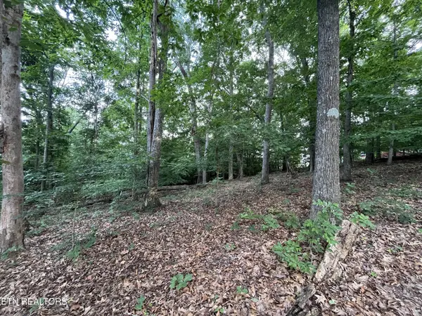 3278 Hillside Rd, White Pine, TN 37890