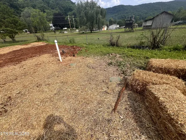 103 Teno Loop Loop, Briceville, TN 37710