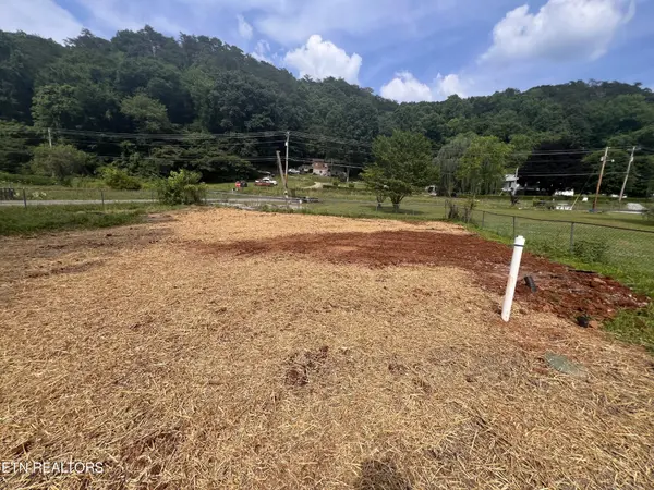 103 Teno Loop Loop, Briceville, TN 37710