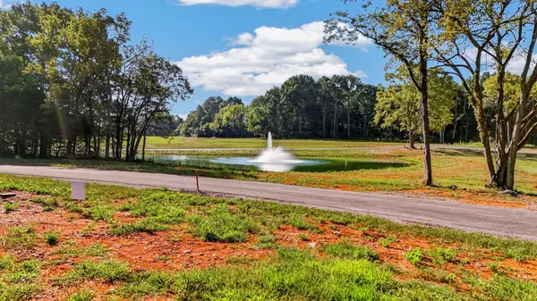 0 Bethel Farm Lane, Murfreesboro, TN 37129