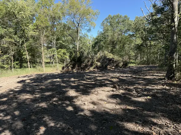 000 203, Wheatland, MO 65779