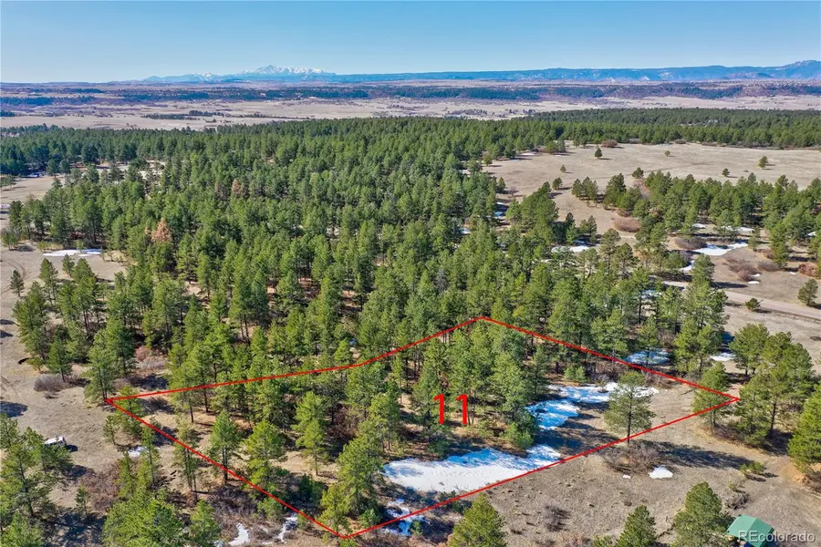 8988 Tanglewood RD, Franktown, CO 80116