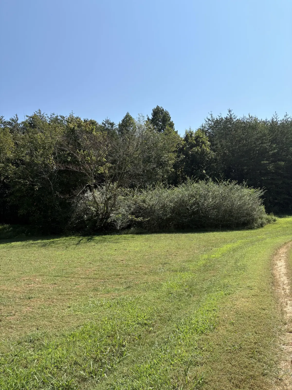 0 John Kirkland Road, Tellico Plains, TN 37385