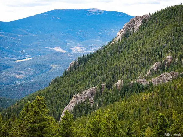 76 Raven Ridge, Idaho Springs, CO 80452