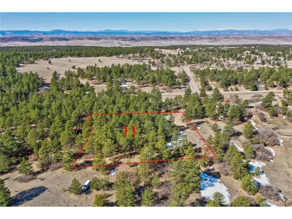 8988 Tanglewood, Franktown, CO 80116