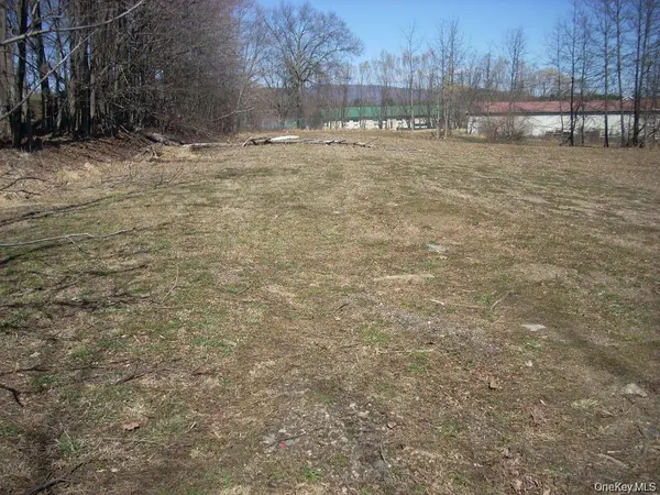 0 Black Hawk RD, Pine Bush, NY 12566