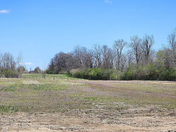 Lot 5 Legacy Estates RD, Mooresville, IN 46158
