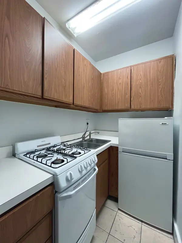 3727 N Pine Grove AVE #305, Chicago, IL 60613