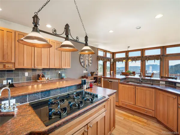 76 Raven Ridge RD, Idaho Springs, CO 80452