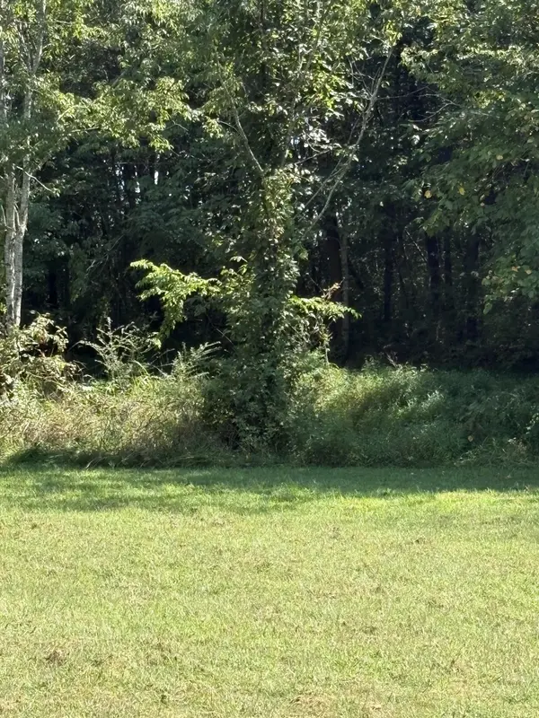 0 John Kirkland Road, Tellico Plains, TN 37385