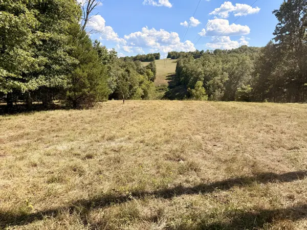 000 Ff, Ava, MO 65608