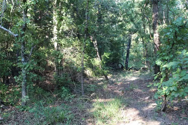 TBD CR 935, Teague, TX 75860