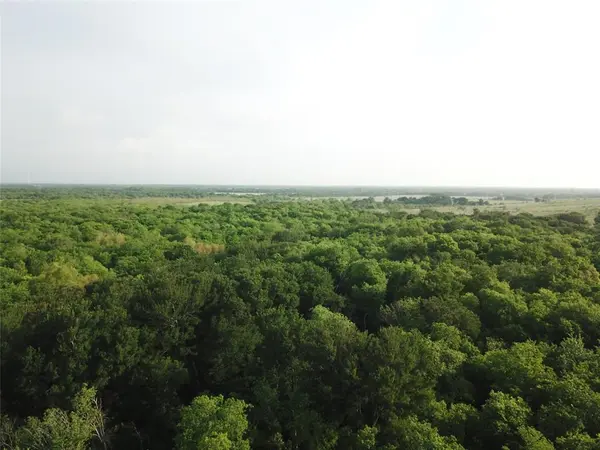 321.92  ACRES LCR 208A, Coolidge, TX 76635