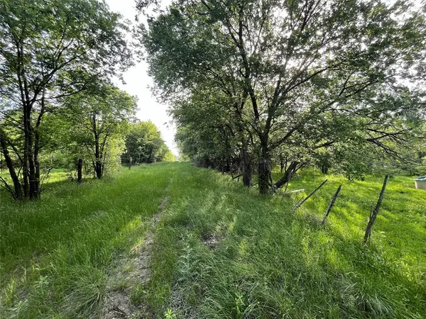 321.92 ACRES LCR 208A, Coolidge, TX 76635