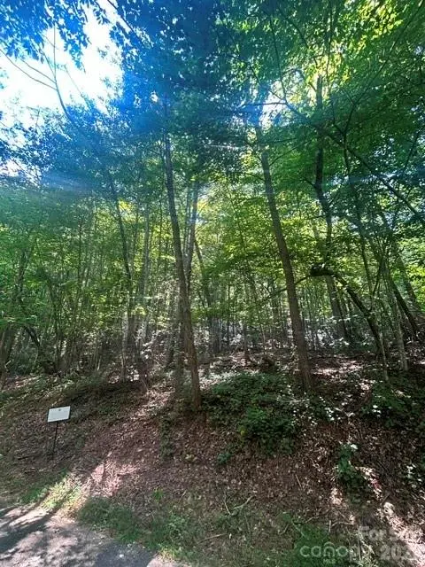 Lot 272 Hummingbird CT, Lake Lure, NC 28746