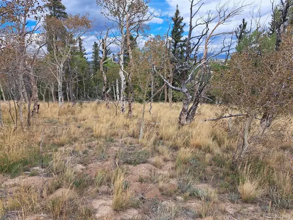 1844 High Creek, Fairplay, CO 80440