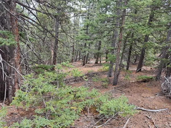 1844 High Creek, Fairplay, CO 80440