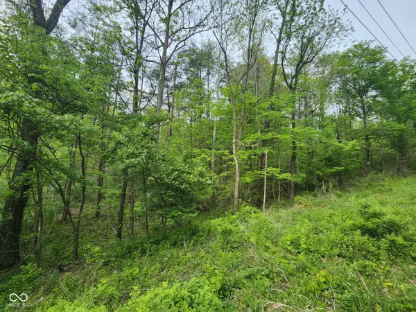 2921 W Cottonwood RD, Morgantown, IN 46160
