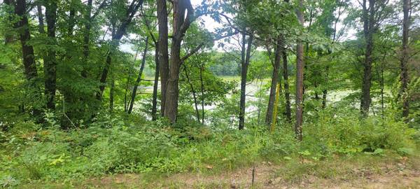 TBD Cedar Road, Cushing, MN 56443