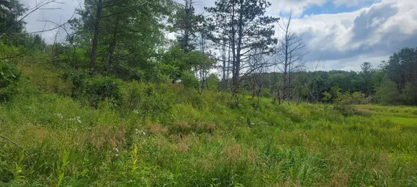TBD Cedar Road, Cushing, MN 56443