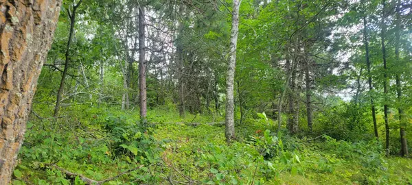 TBD Cedar Road, Cushing, MN 56443