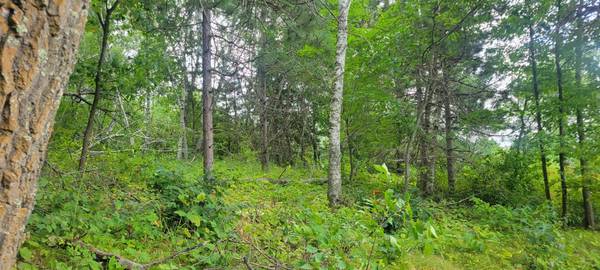 TBD Cedar Road, Cushing, MN 56443