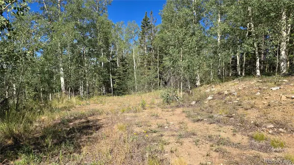 Lot 6174 Forbes RD, San Luis, CO 81152