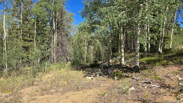 Lot 6174 Forbes RD, San Luis, CO 81152