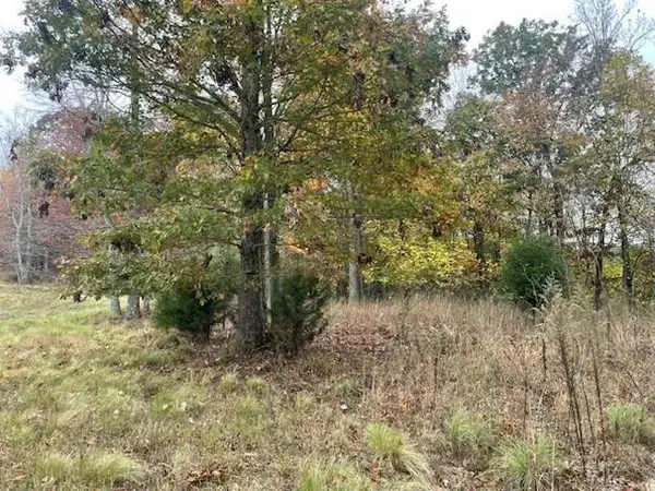 580 Preservation Drive, South Pittsburg, TN 37380