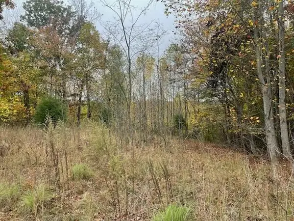 580 Preservation Drive, South Pittsburg, TN 37380