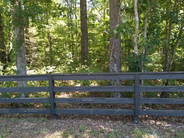 0 Henson Gap Road, Dunlap, TN 37327