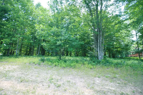 0 Turkey Trl Trail, Dunlap, TN 37327