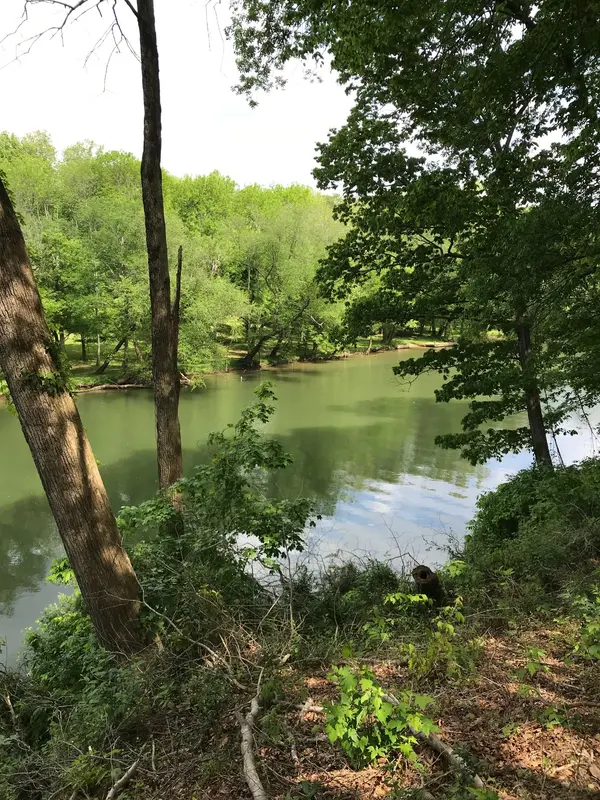 706 Westwood Dr, Mcminnville, TN 37110