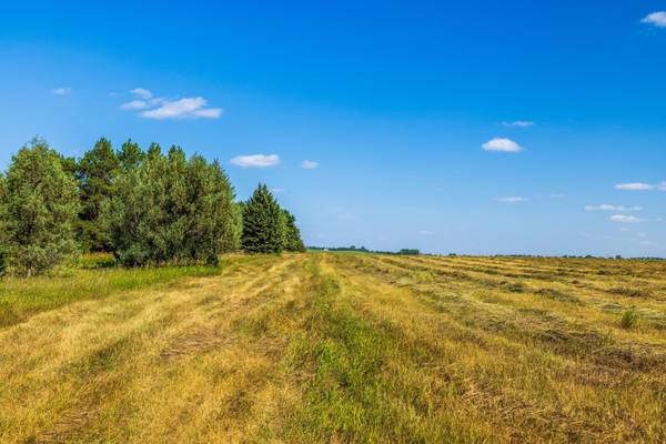 TBD Berwick Lane Lot 5, Berwick, ND 58788