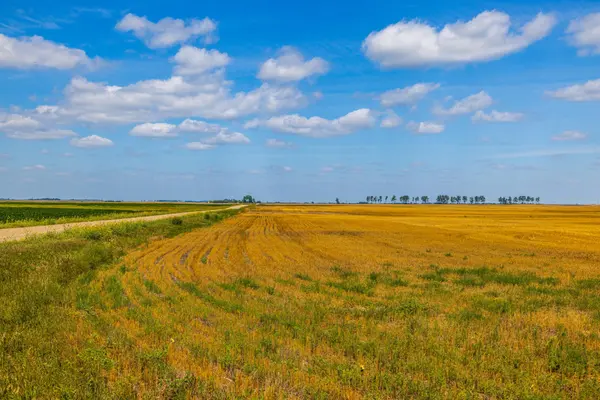TBD 15 Ave NE Lot 4, Berwick, ND 58788