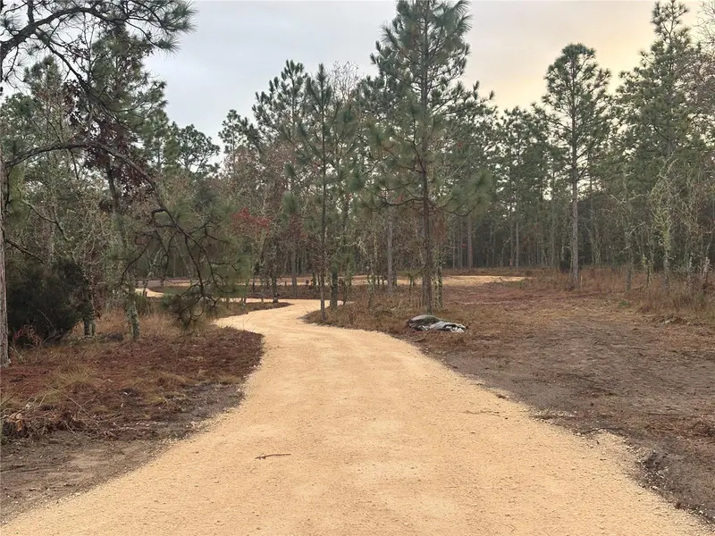 SE 4TH ST, Williston, FL 32696